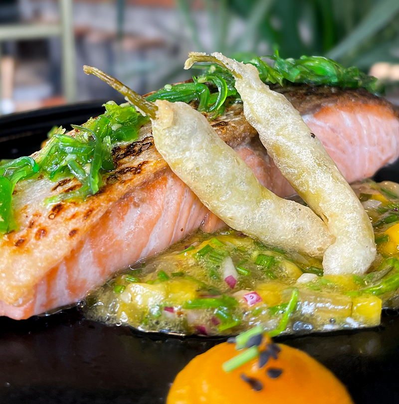 SALMON-GALLINA3